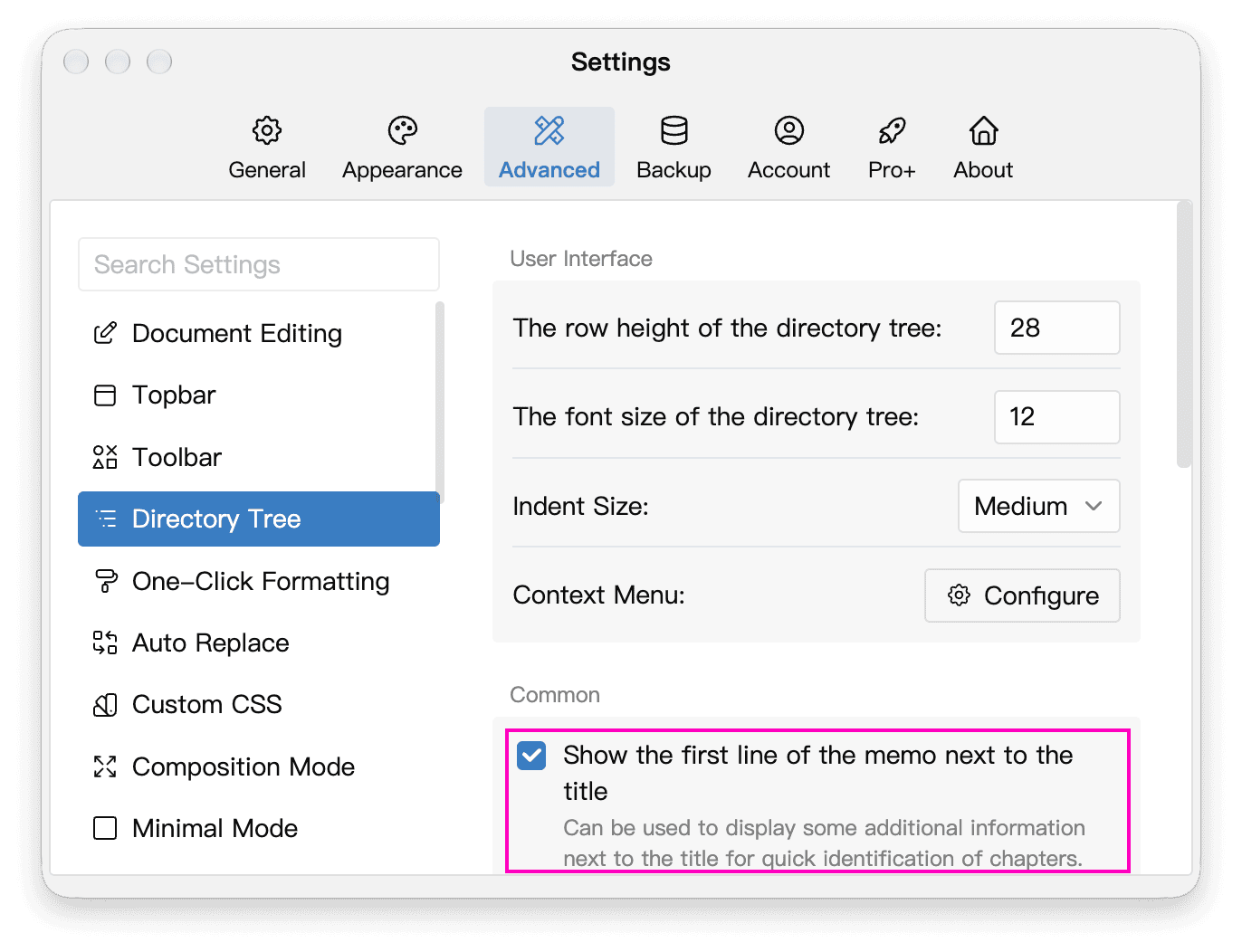 Memo excerpt display setting